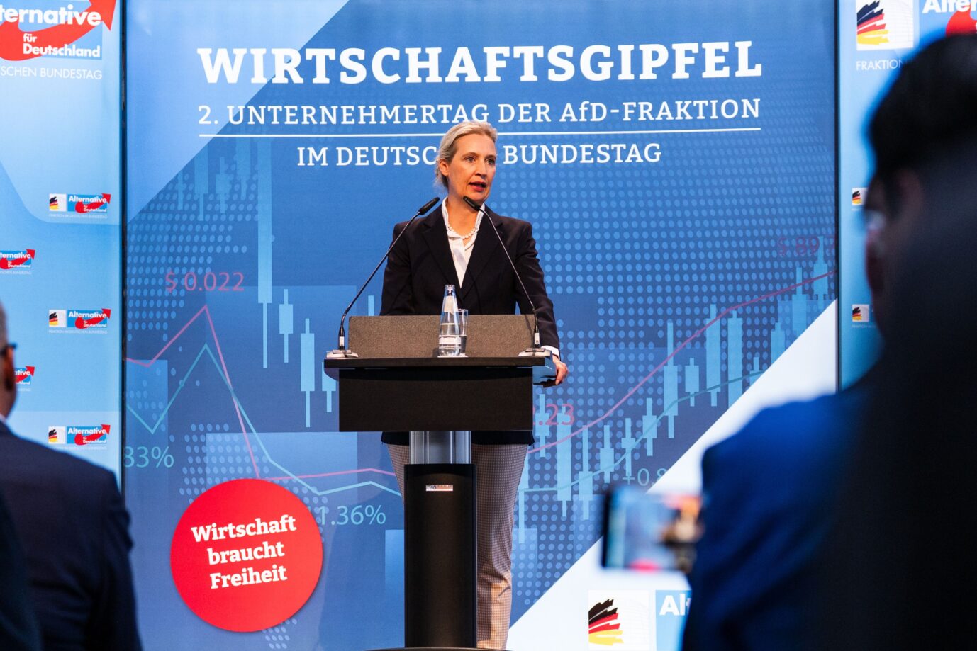 Die Ökonomie des Frusts: Was taugen die Wirtschaftsversprechen der AfD?